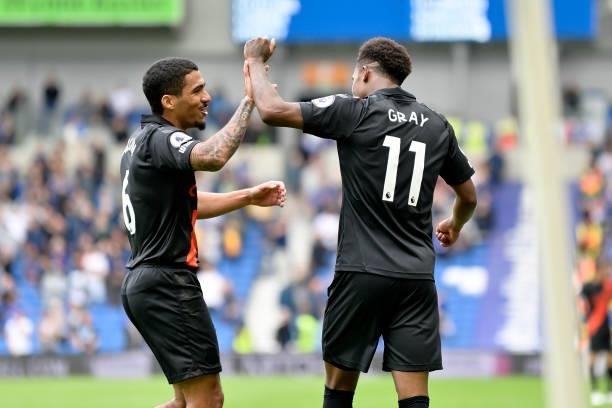 Demarai Gray of Everton celebrates his goal with Allan during the Premier League match between Brighton & Hove Albion and Everton at American Express...