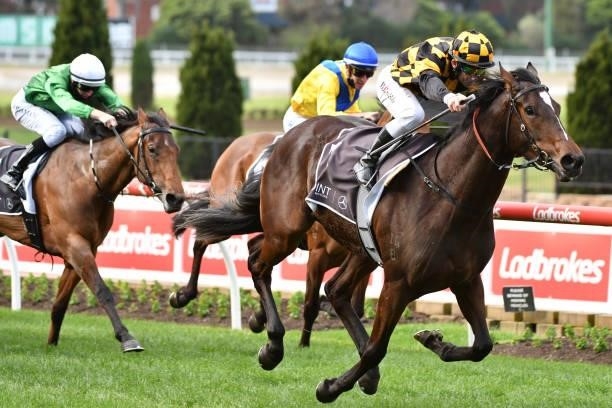 Brett Prebble riding Zouzarella winning race 6, the 3 Point Motors Atlantic Jewel Stakes, during Melbourne Racing at Moonee Valley Racecourse on...