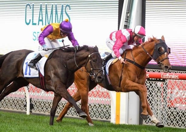 Damien Oliver riding Superstorm defeats Luke Currie riding Elephant in Race 8, the Clamms Seafood Feehan Stakes, during Melbourne Racing at Moonee...