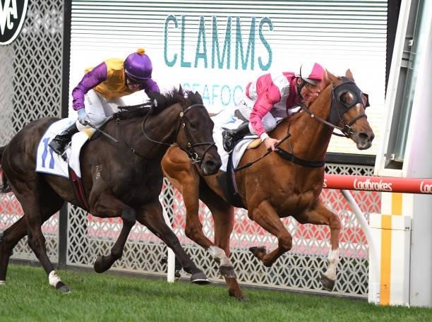 Damien Oliver riding Superstorm defeats Luke Currie riding Elephant in Race 8, the Clamms Seafood Feehan Stakes, during Melbourne Racing at Moonee...