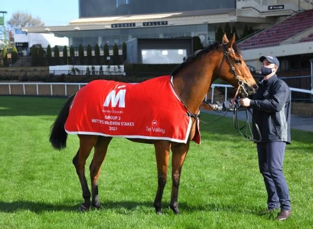 The Inferno after winning race 5, the Mitty's Mcewen Stakes, during Melbourne Racing at Moonee Valley Racecourse on September 04, 2021 in Melbourne,...