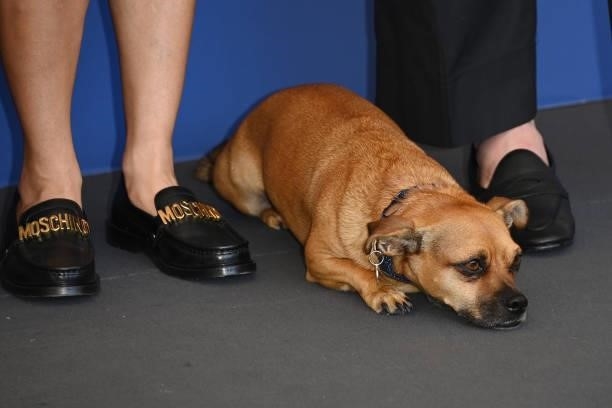 Director Ana Lily Amirpour's dog attend the photocall of "Mona Lisa And The Blood Moon