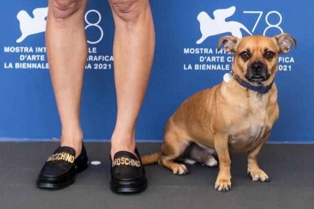 Ana Lily Amirpour's dog attends the photocall of "Mona Lisa And The Blood Moon