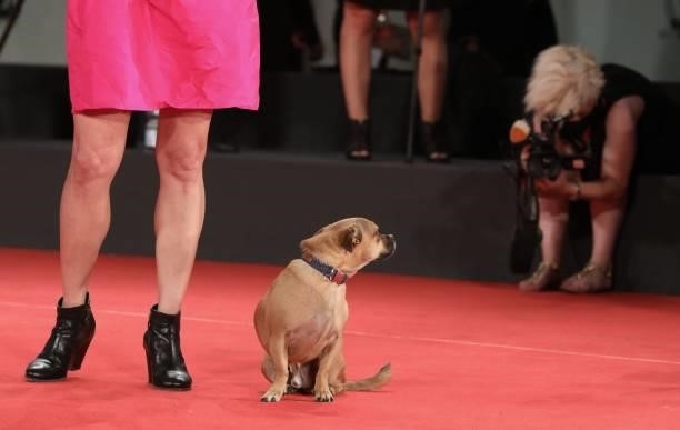 Director Ana Lily Amirpour and her dog Benny attends the red carpet of the movie "Mona Lisa And The Blood Moon