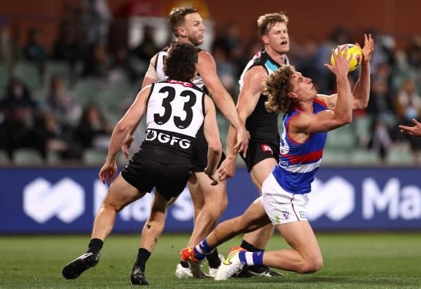Aaron Naughton of the Bulldogs marks during the AFL Second Preliminary Final match between Port Adelaide Power and Western Bulldogs at Adelaide Oval...