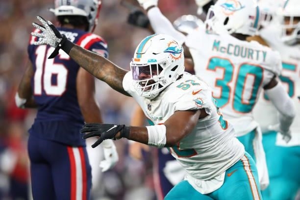 Elandon Roberts of the Miami Dolphins celebrates his team's fumble recovery against the New England Patriots during the second half at Gillette...