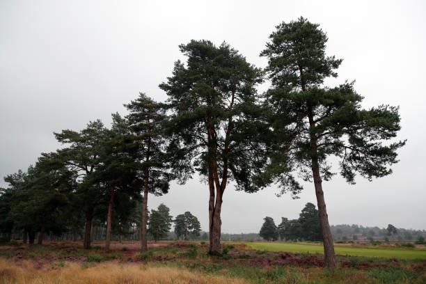 During the R&A Mens's Home International previews at Hankley Common on September 14, 2021 in Tilford, England.
