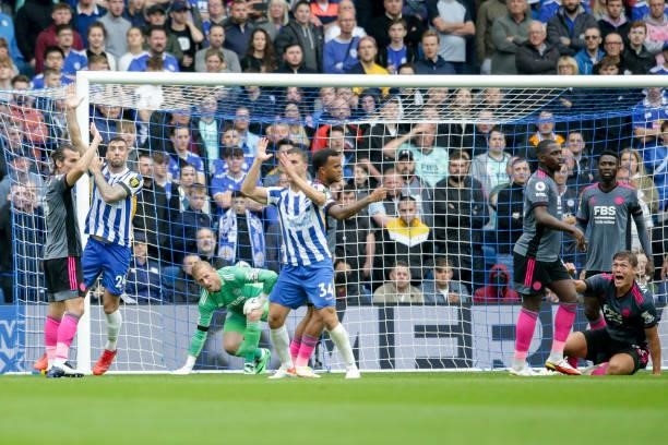 Shane Duffy of Brighton & Hove Albion appeals for a penalty for handball against Jannik Vestergaard of Leicester City during the Premier League match...