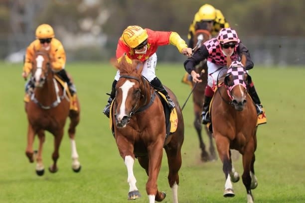 Tim Clark on In The Congo wins race 8 the XXXX Golden Rose during Sydney Racing on Golden Rose Day at Rosehill Gardens on September 25, 2021 in...
