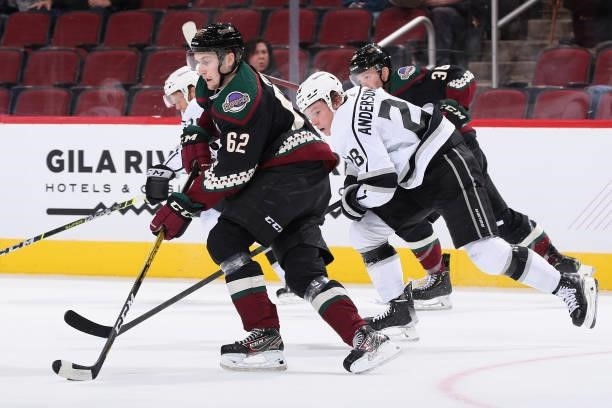 Janis Jerome Moser of the Arizona Coyotes skates with the puck during the first period of the preseason NHL game against the Los Angeles Kings at...