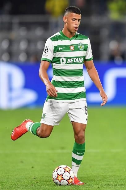 Matheus Luis Nunes of Sporting during the UEFA Champions League group C match between Borussia Dortmund and Sporting CP at Signal Iduna Park on...