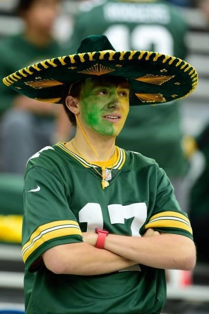 Green Bay Packers fan in the stands before the game against the Pittsburgh Steelers at Lambeau Field on October 03, 2021 in Green Bay, Wisconsin.