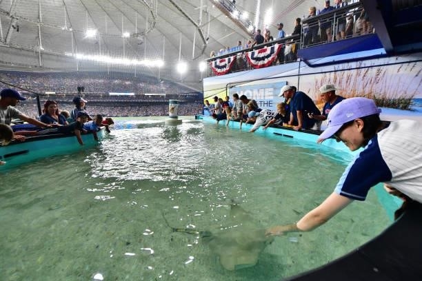 Fans gather around a tank featuring rays during Game 2 of the American League Division Series between the Tampa Bay Rays and the Boston Red Sox at...