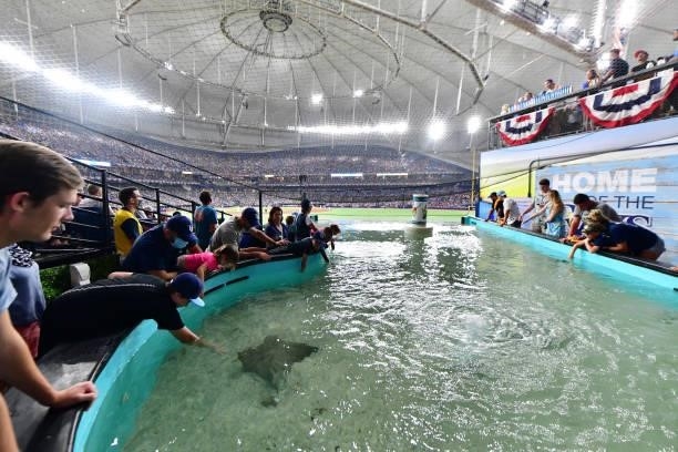 Fans gather around a tank featuring rays during Game 2 of the American League Division Series between the Tampa Bay Rays and the Boston Red Sox at...