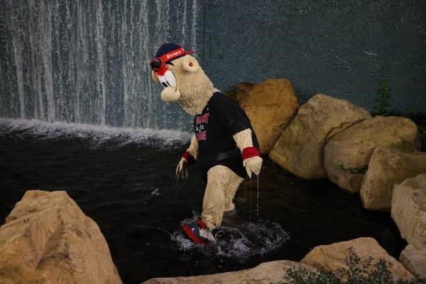 Blooper celebrates in the fountain following the win over the Milwaukee Brewers 5-4 in game four of the National League Division Series at Truist...