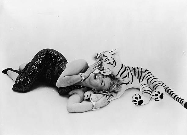 American film star Marilyn Monroe , born Norma Jean Mortensen in Los Angeles, romping with a soft toy tiger.